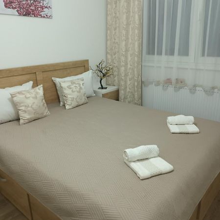 Katarina 3 Apartment Banja Koviljaca Luaran gambar