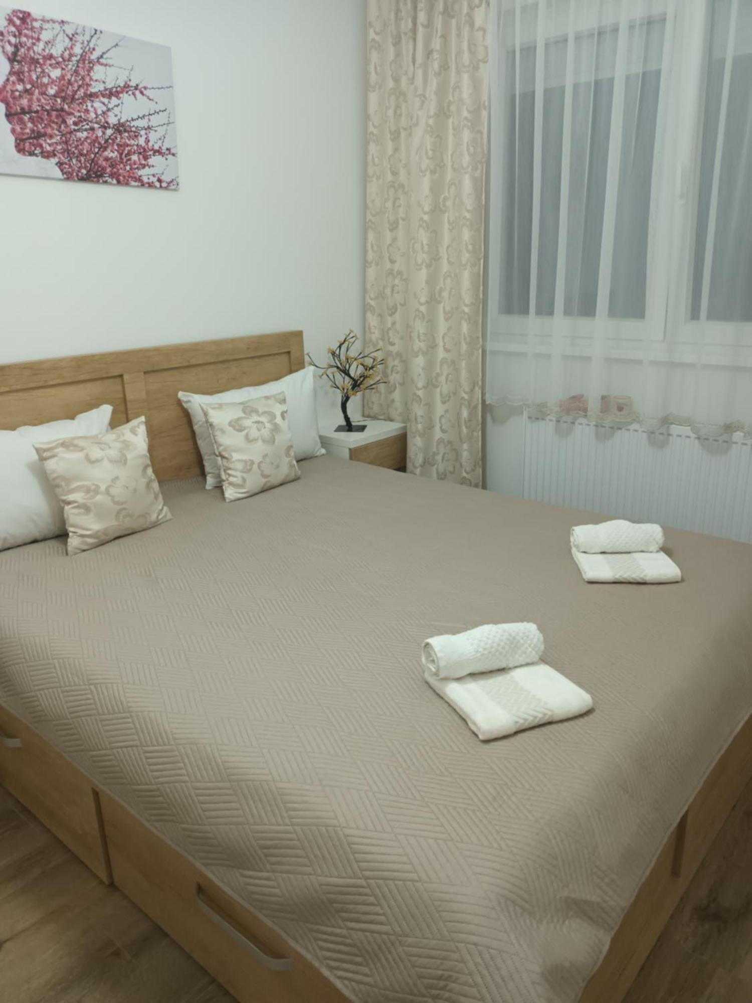 Katarina 3 Apartment Banja Koviljaca Luaran gambar